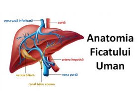 Clinica Remedium